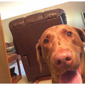 Meet your Posher, Carrie